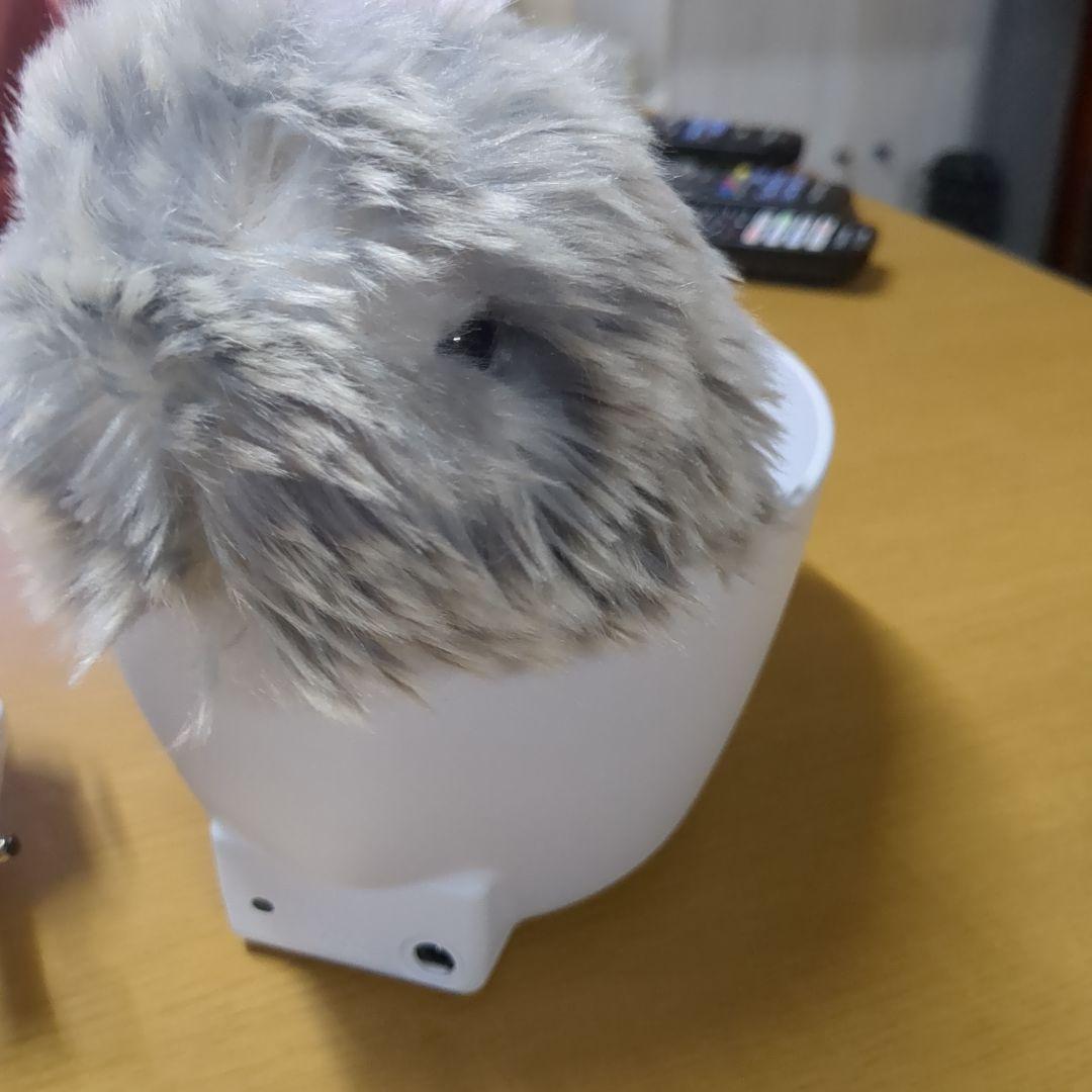 モフリン138日間ペットでした