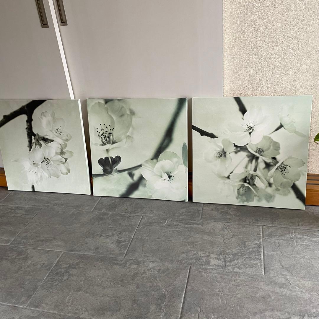 アートパネル 3枚セット　桜　IKEA