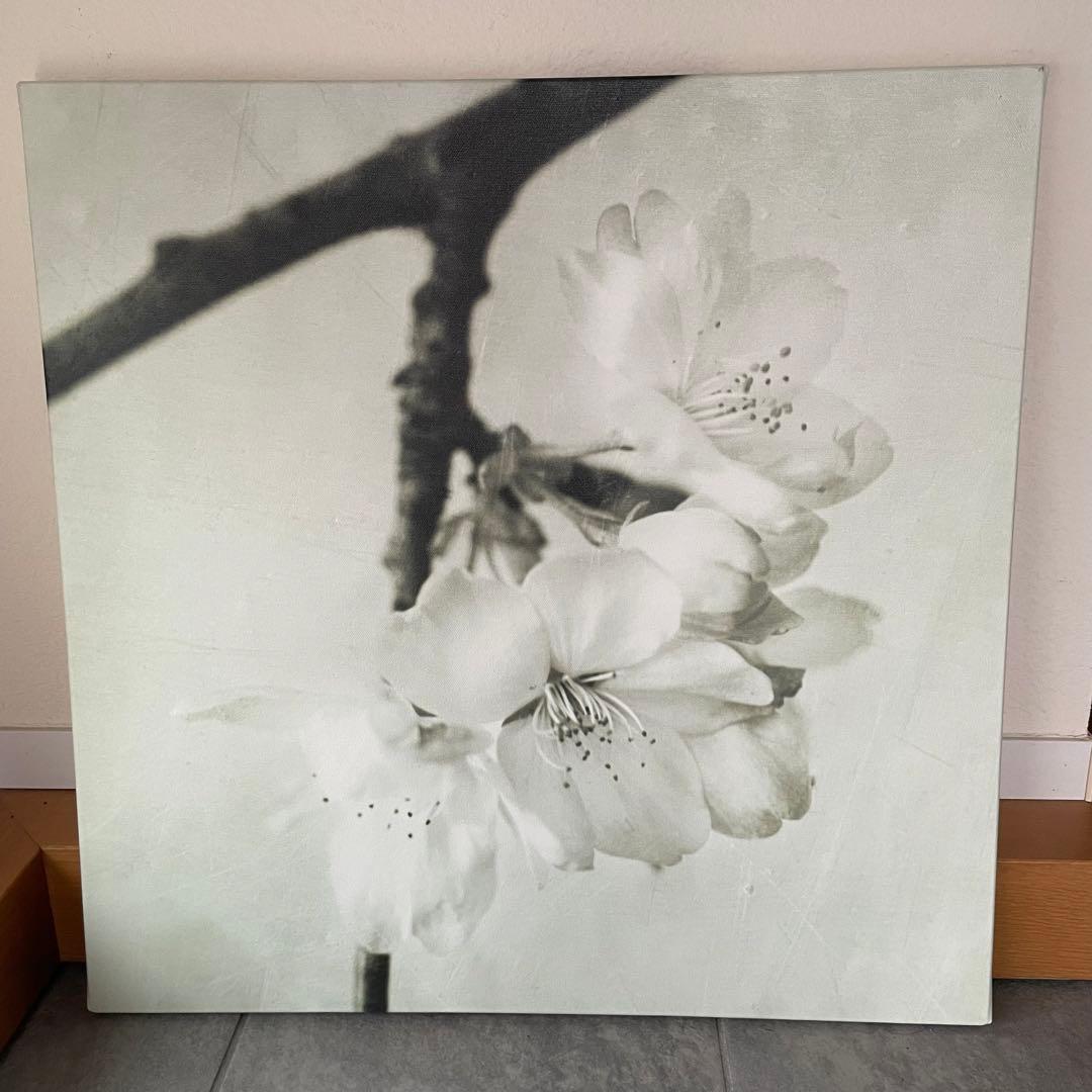 アートパネル 3枚セット　桜　IKEA