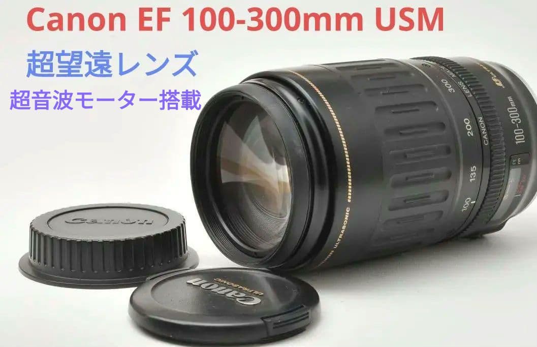 10月17日限定価格♪Canon EF 100-300mm USM