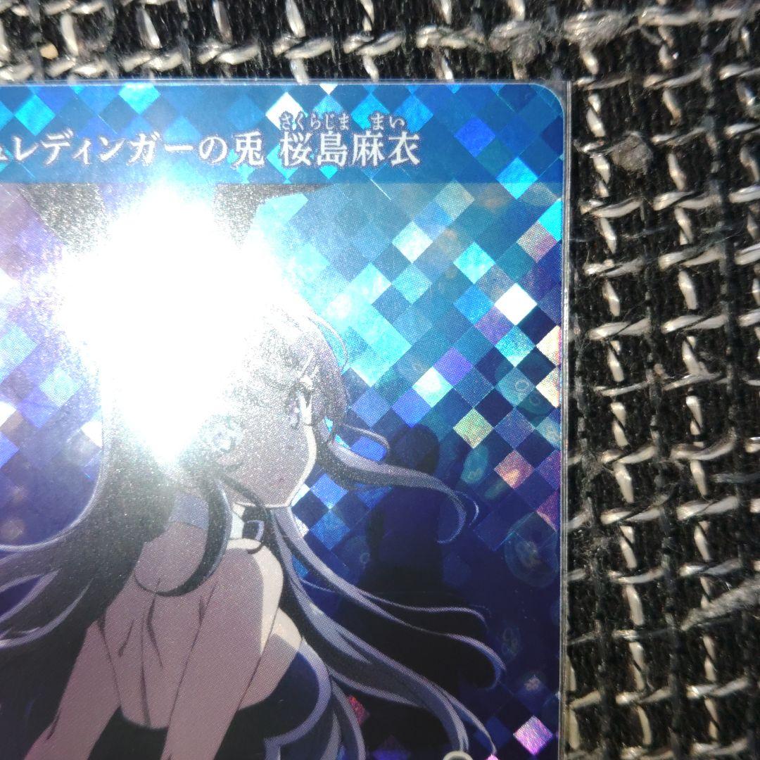 シュレディンガーの兎桜島麻衣(匿名発送)