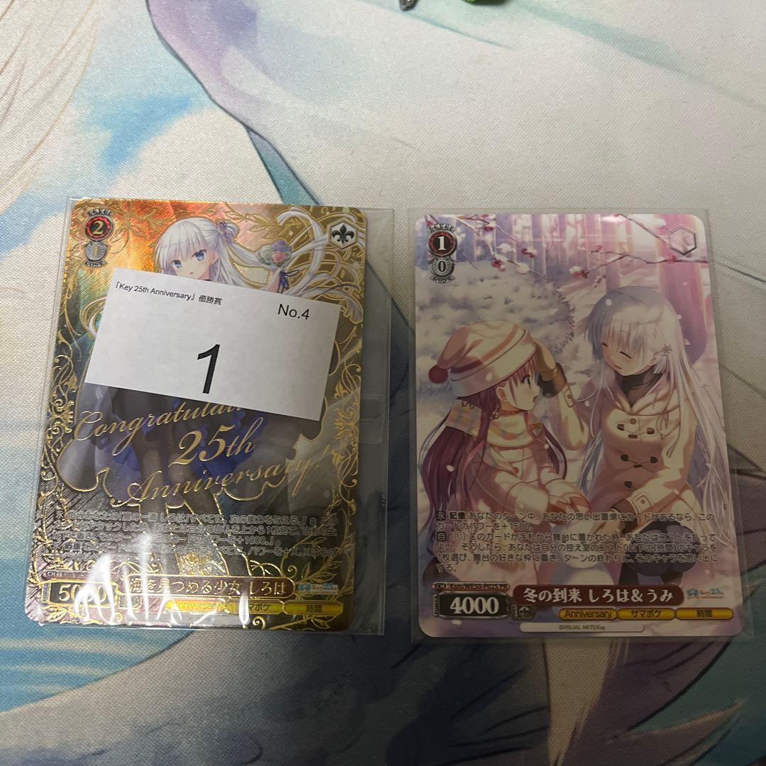 海を見つめる少女しろは　PR+ 冬の到来　しろは＆うみ　PR Key CX優勝賞