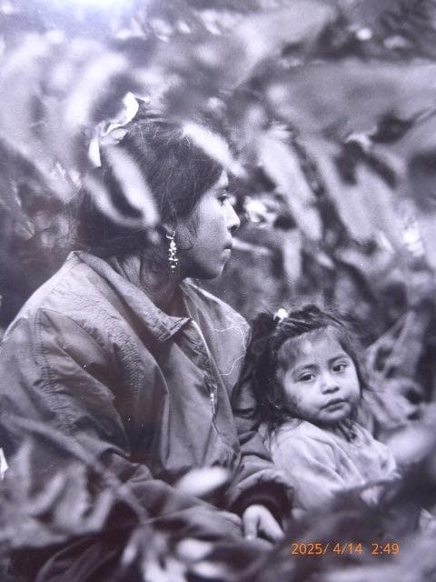 メキシコを代表するフォトジャーナリスト、アンジェレ・トレヤンのオリジナルプリント