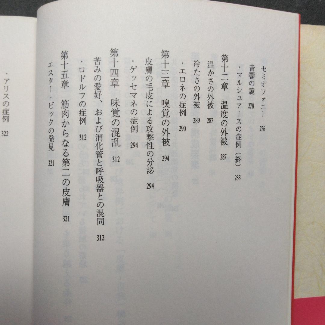 皮膚－自我 ディディエ・アンジュー 皮膚としての自我 言叢社 哲学 臨床