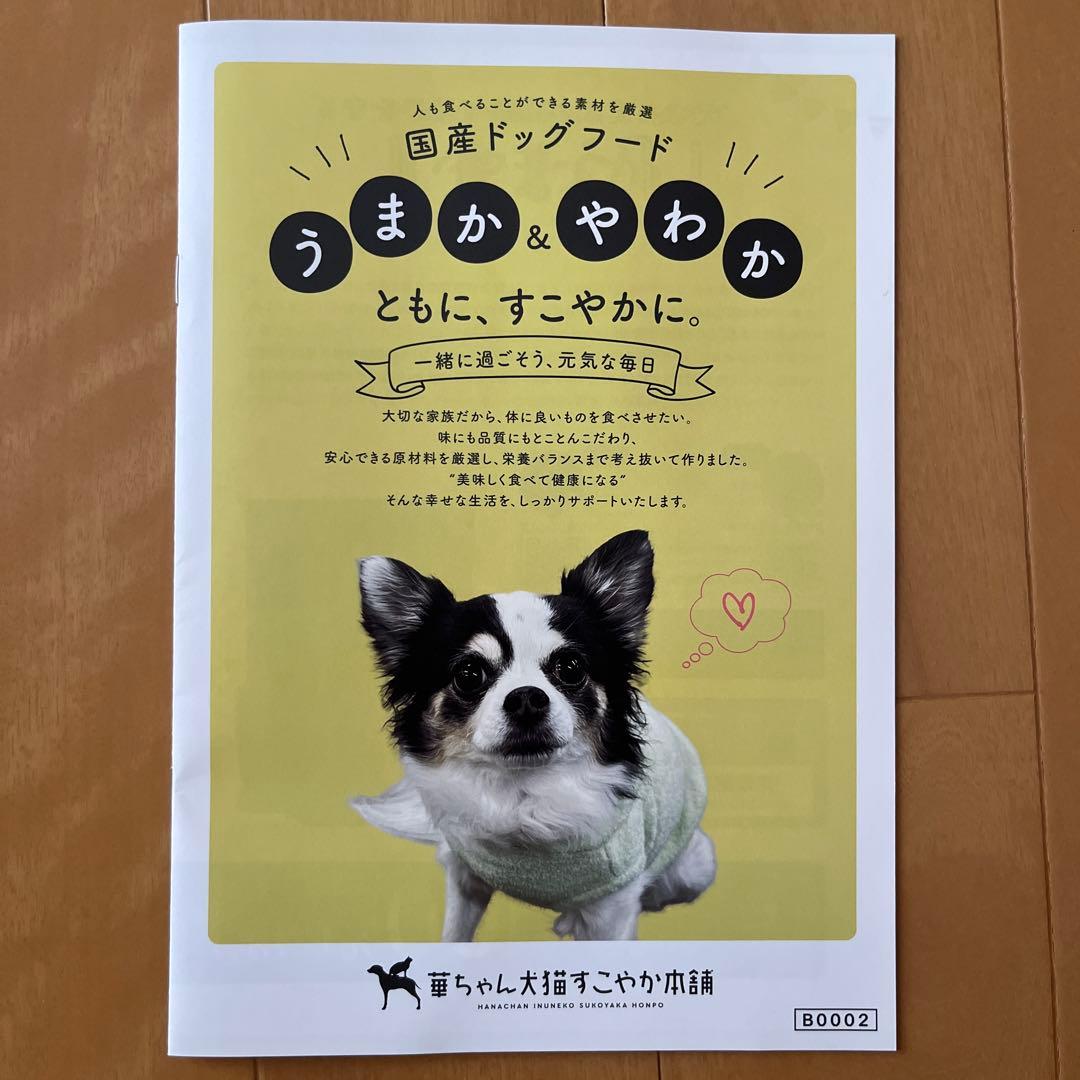 プレミアム　ドッグフード