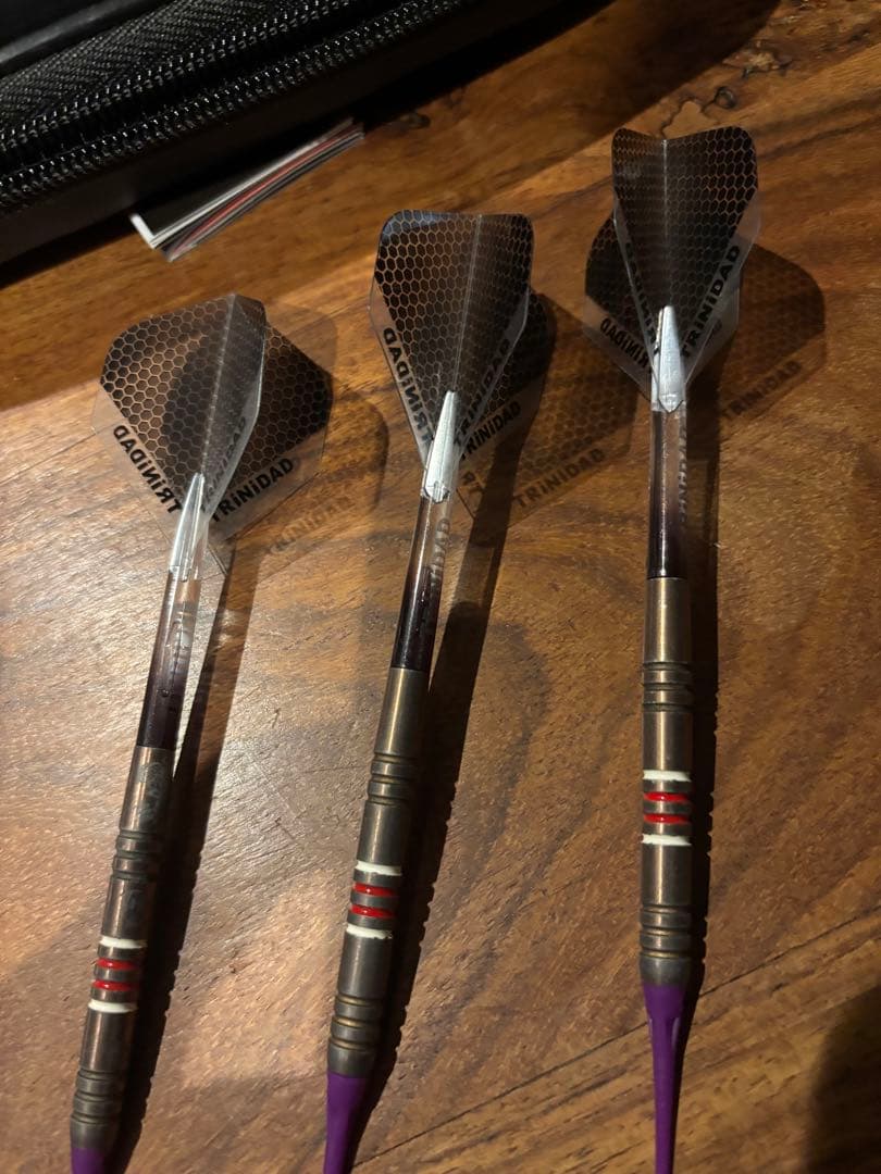 トリニダード　ゴメス　その他ダーツ洋品まとめ売り