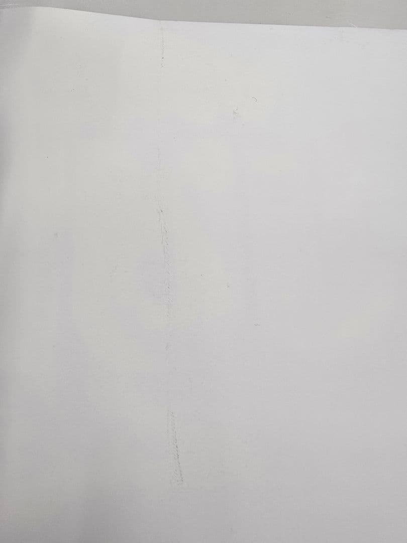 キングダム 週刊ヤングジャンプ サイン入り　B2ポスター