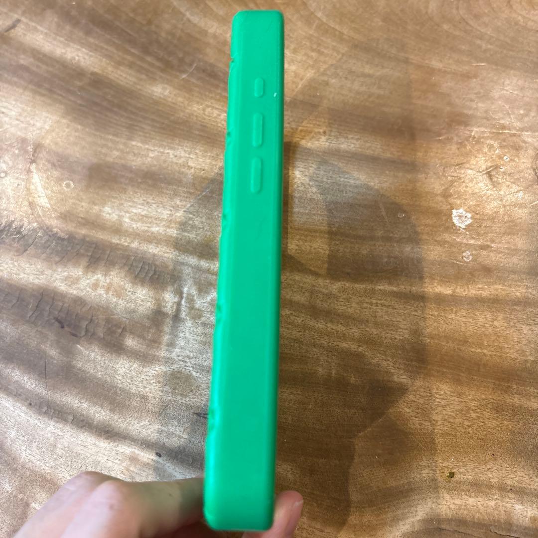 Bottega Veneta パラキート iPhone 16 pro ケース