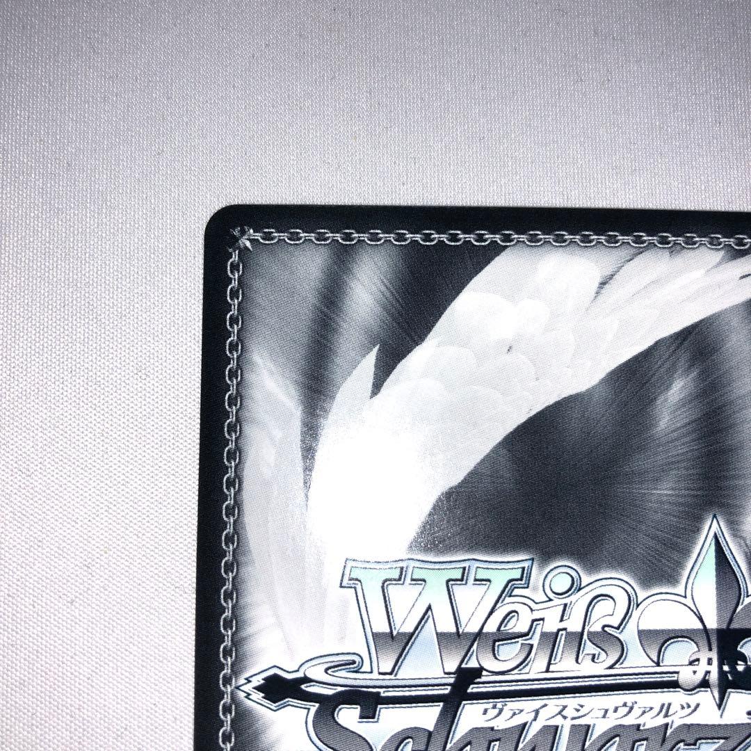 小鳥遊ホシノ 水着 sp ブルーアーカイブ ホシノ サイン