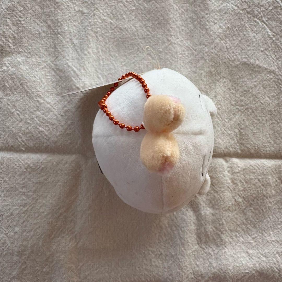 うさぎ　まとめ売り