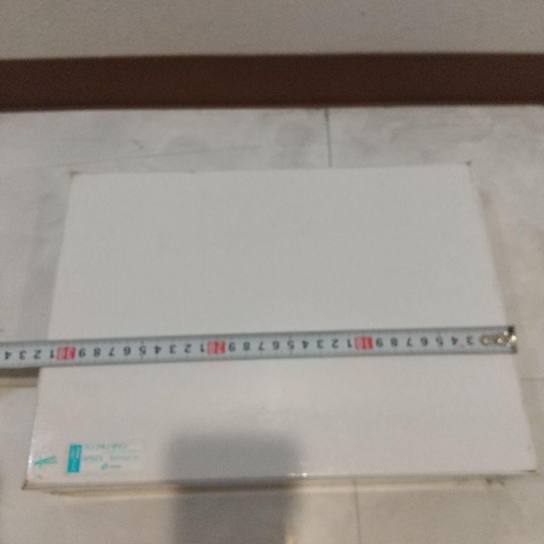 新品　パンプキンタウン　ハッピーバースデー　ジグソーパズル