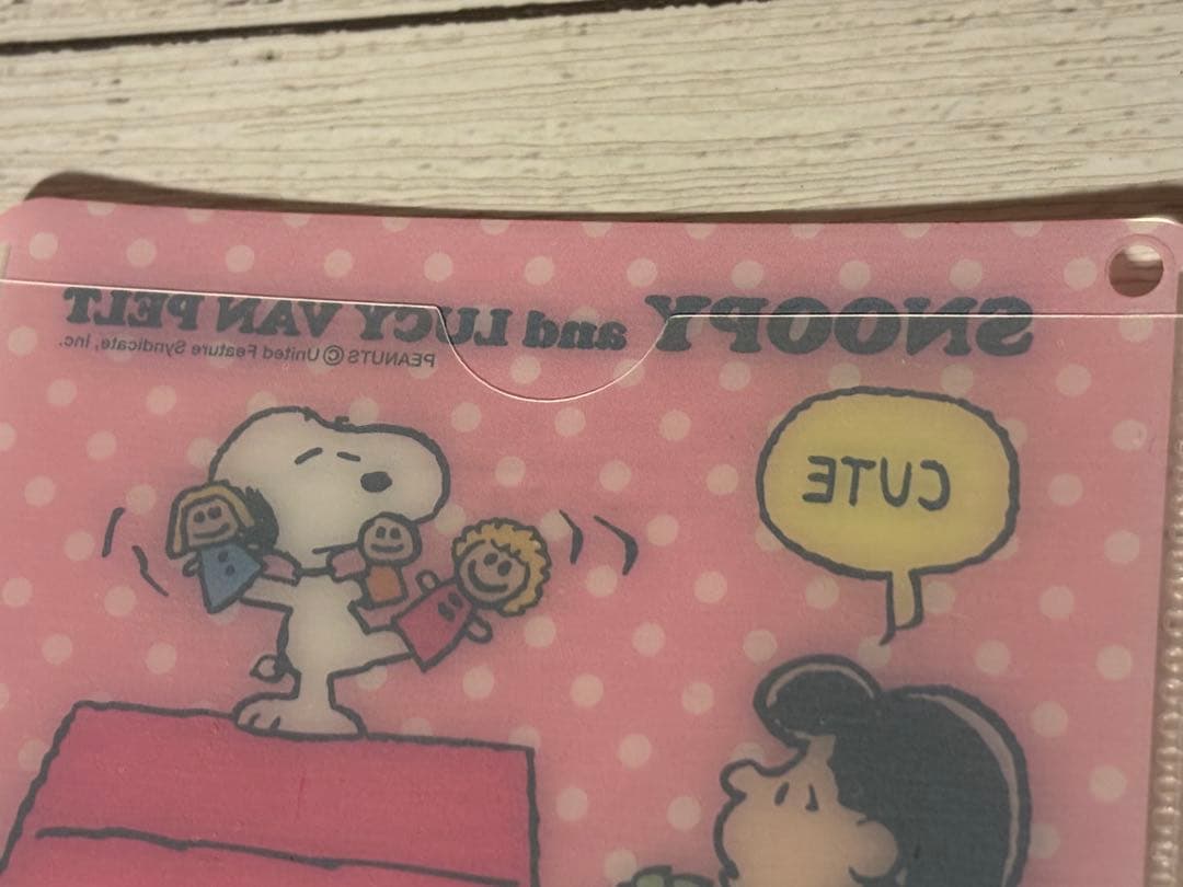 a*n様 スヌーピー診察券ケース約6.2×9.3cm