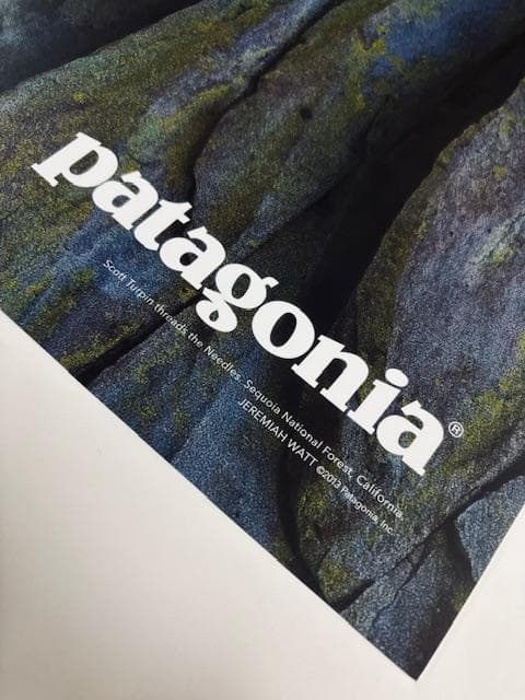 額装品/Threading the Needles（パタゴニア）/アートポスター