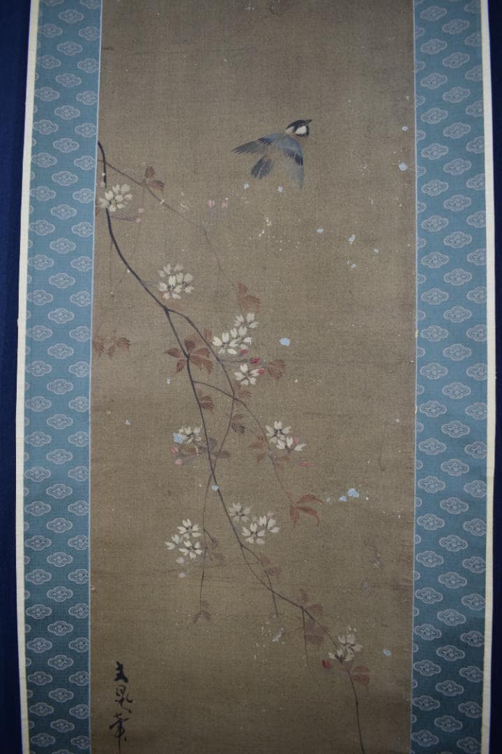 【模写】谷文晁/桜に小禽図/小鳥図/掛軸☆宝船☆Y-511　JM