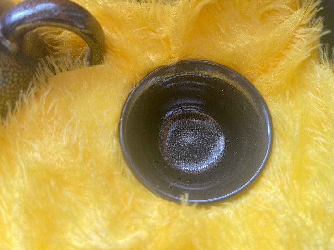 博山雨点釉 天目碗 共箱 中国 古美術