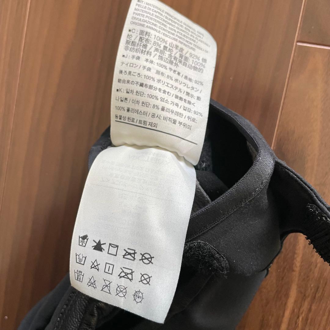 Arc'teryx ALPHA SL GLOVE Lサイズ