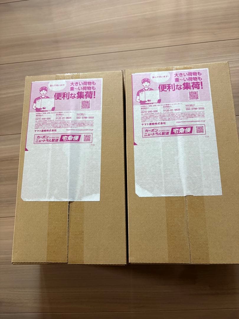 【即発送】スペシャルボックス　ヒロシマ　2boxセット