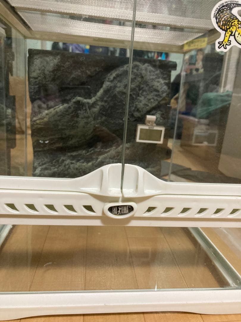 グラステラリウム3030 限定廃盤白　ヒュドラケース3120、プラケース大