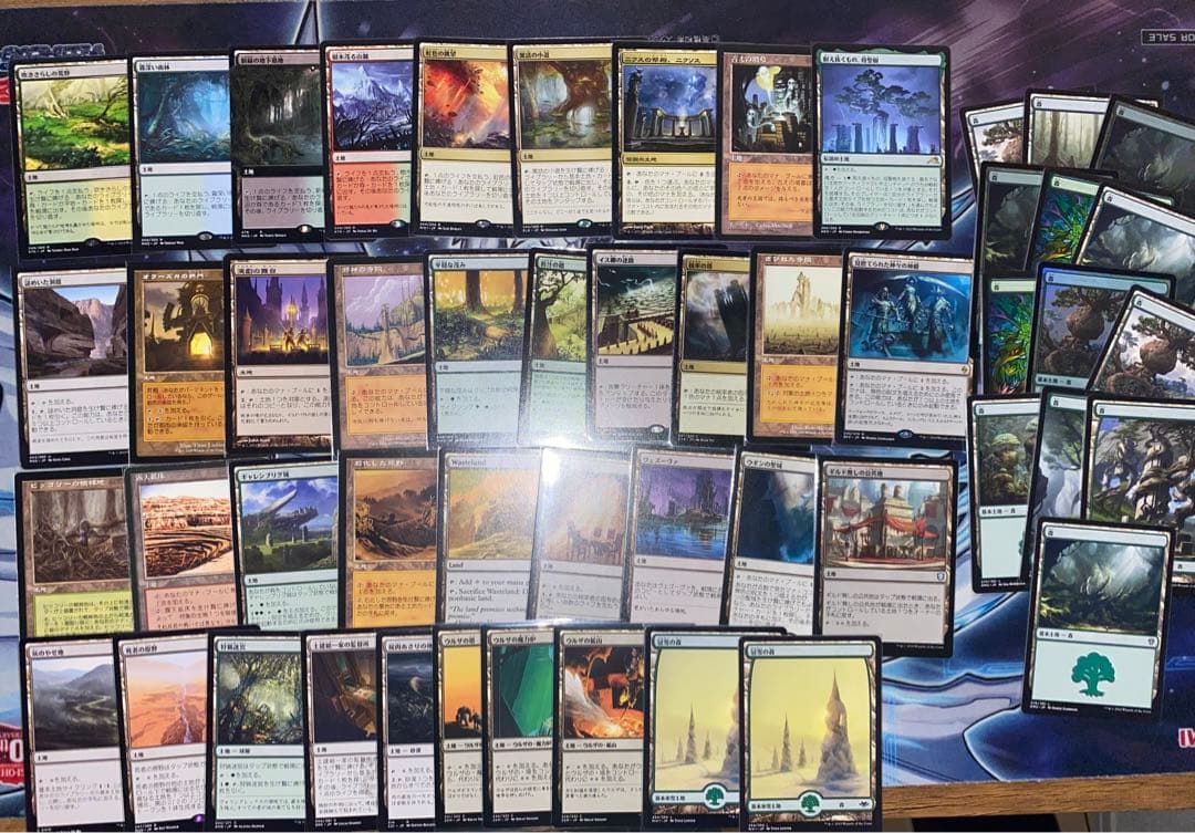 迷える探求者、梓