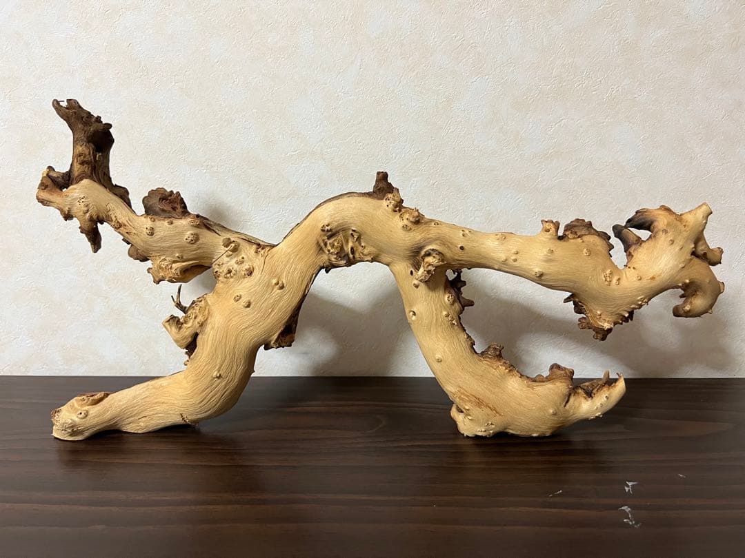 4045 流木　アクアリウム　沈水確認済　ブランチウッド