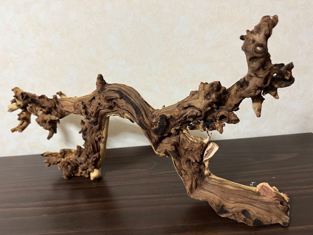 4045 流木　アクアリウム　沈水確認済　ブランチウッド