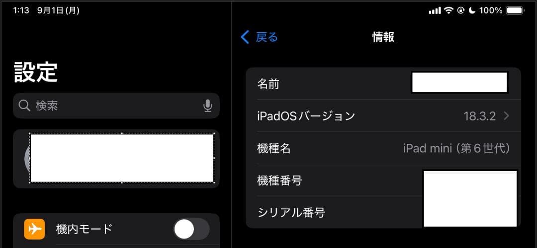 iPad mini (第６世代) Cellular 256GB