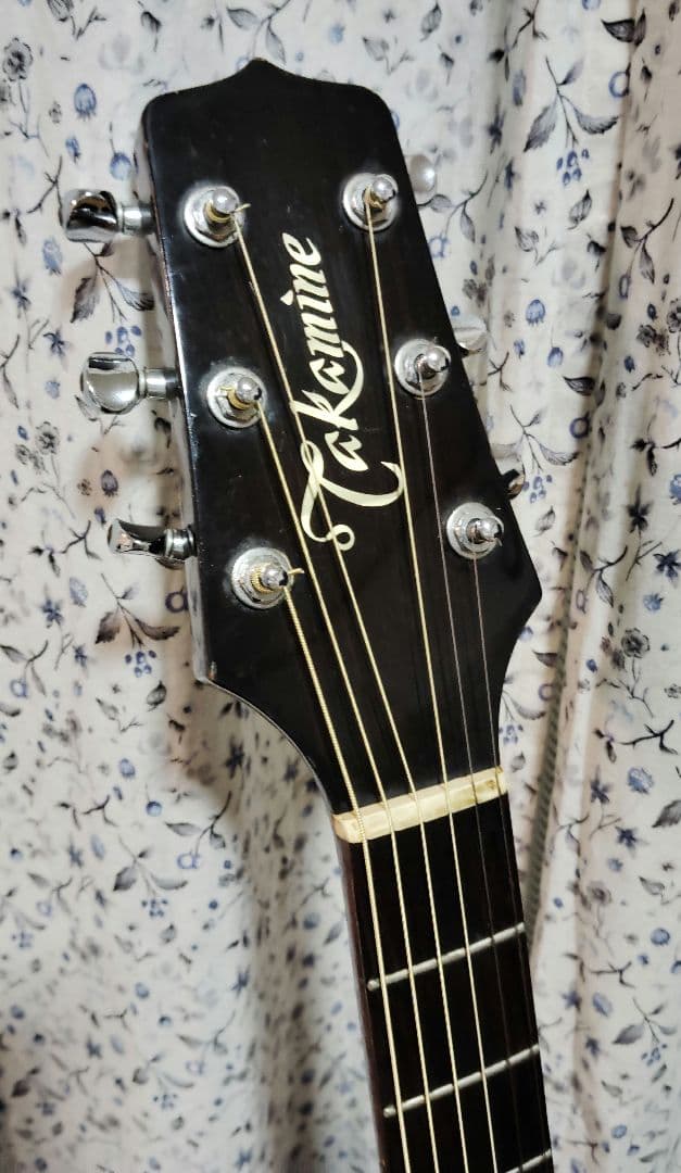 エレアコ Takamine PT-105 アコースティックギター