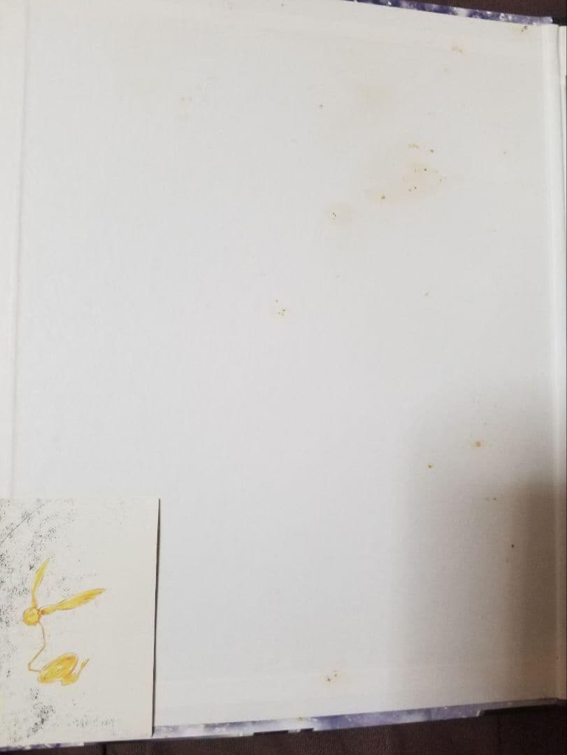 D.Gray-man　ディーグレイマン　カード　ファイル　バインダー　グッズ