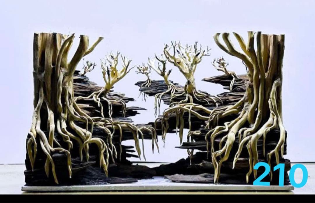 水槽用流木 自然なデザイン. 盆栽流木　の水槽、水草用の 流木。流木アクアリウム