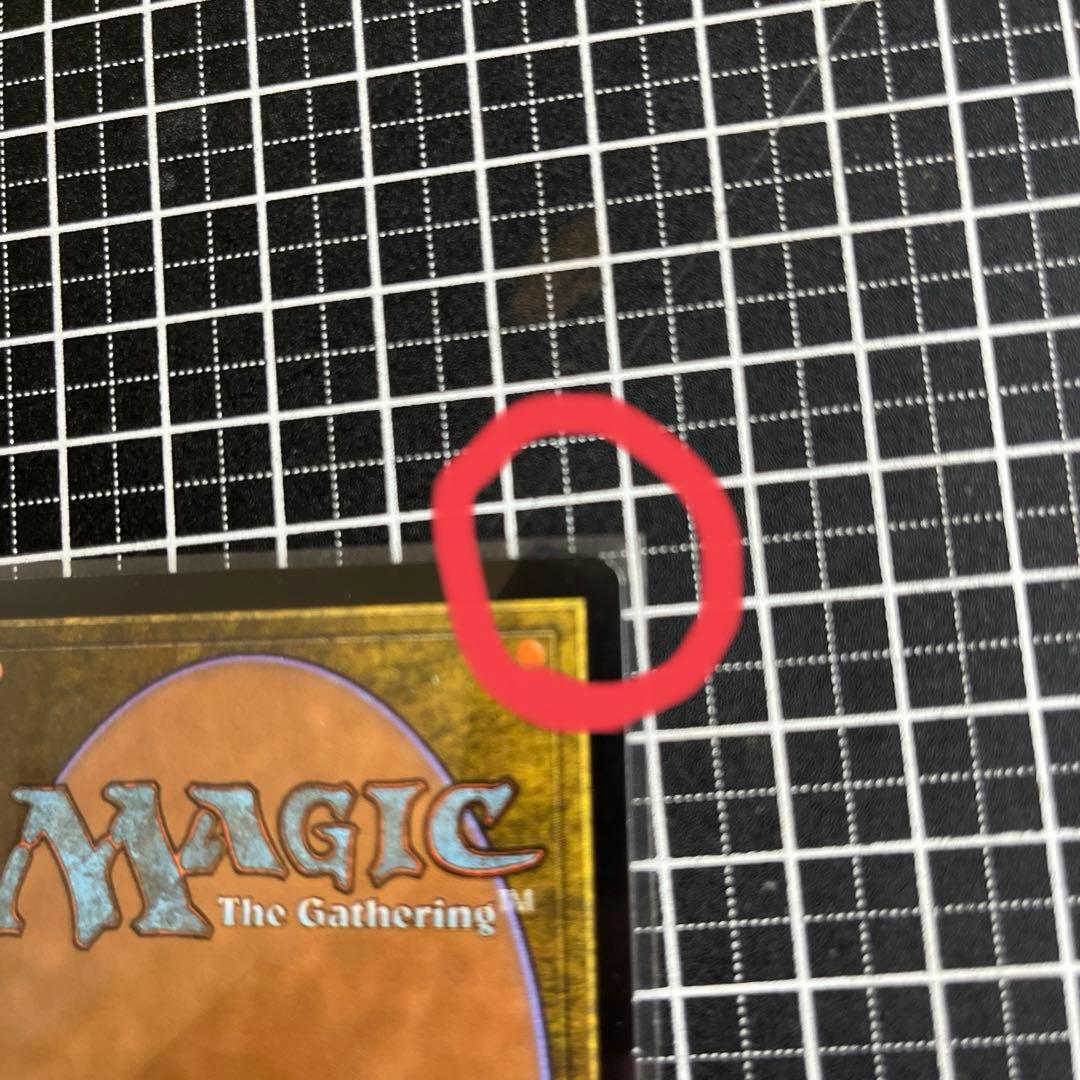 不毛の大地　フォイル