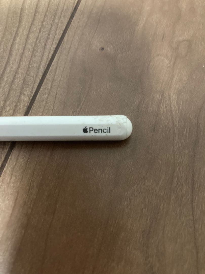 iPad Pro 12.9インチ 第5世代 512GB セルラーモデル