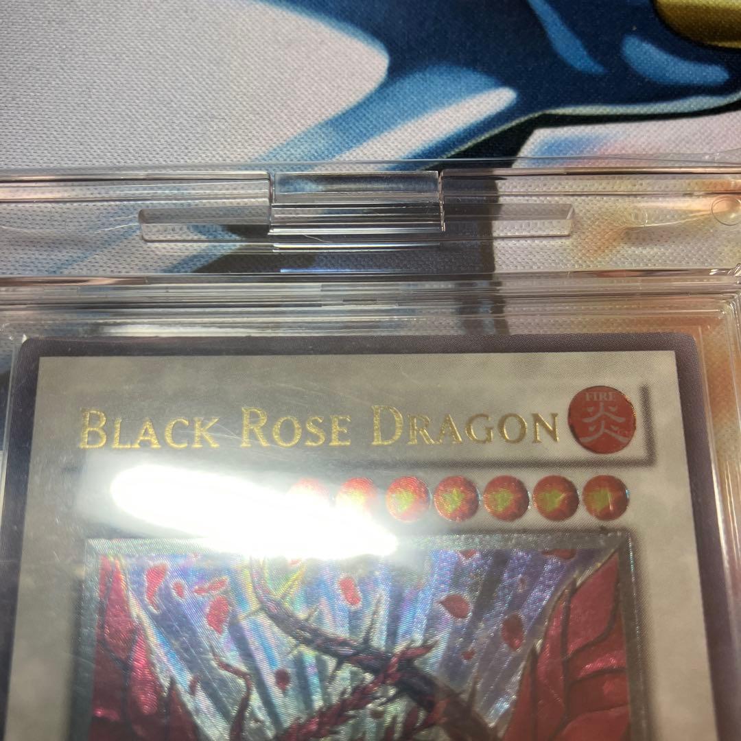 ブラック・ローズ・ドラゴン CSOC-JP039 英語　レリーフ　⑥深堀