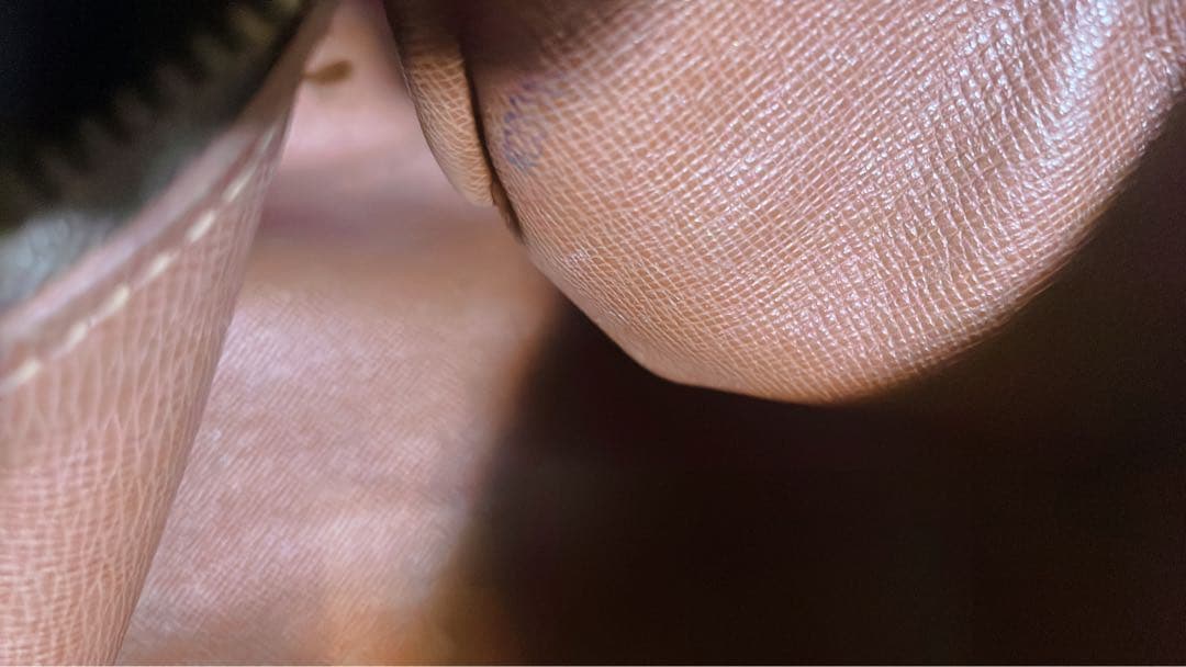 ルイヴィトン　パピオン　「ジャンク」