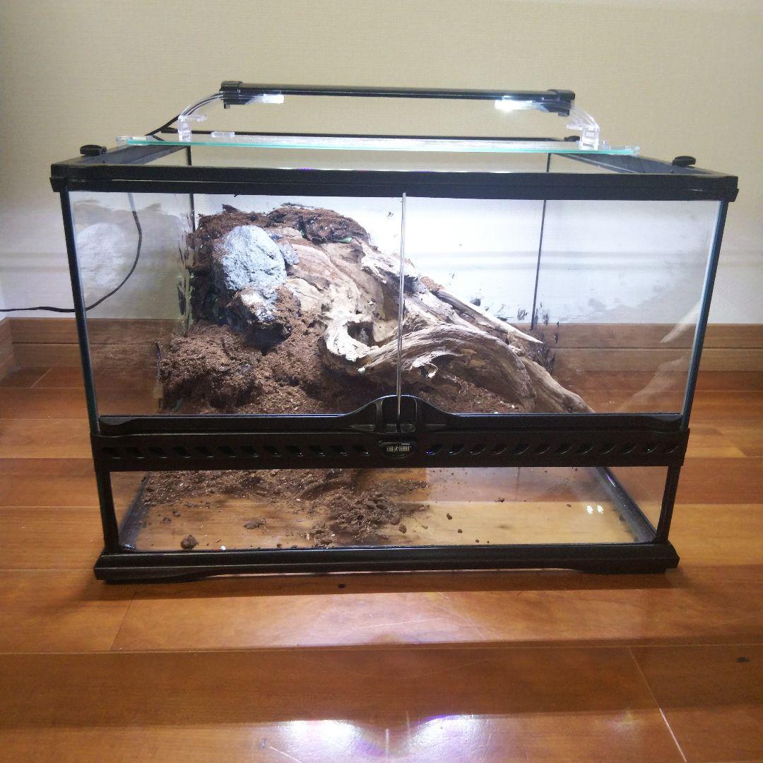 【受注生産】爬虫類飼育ケージ　テラリウム　ビバリウム
