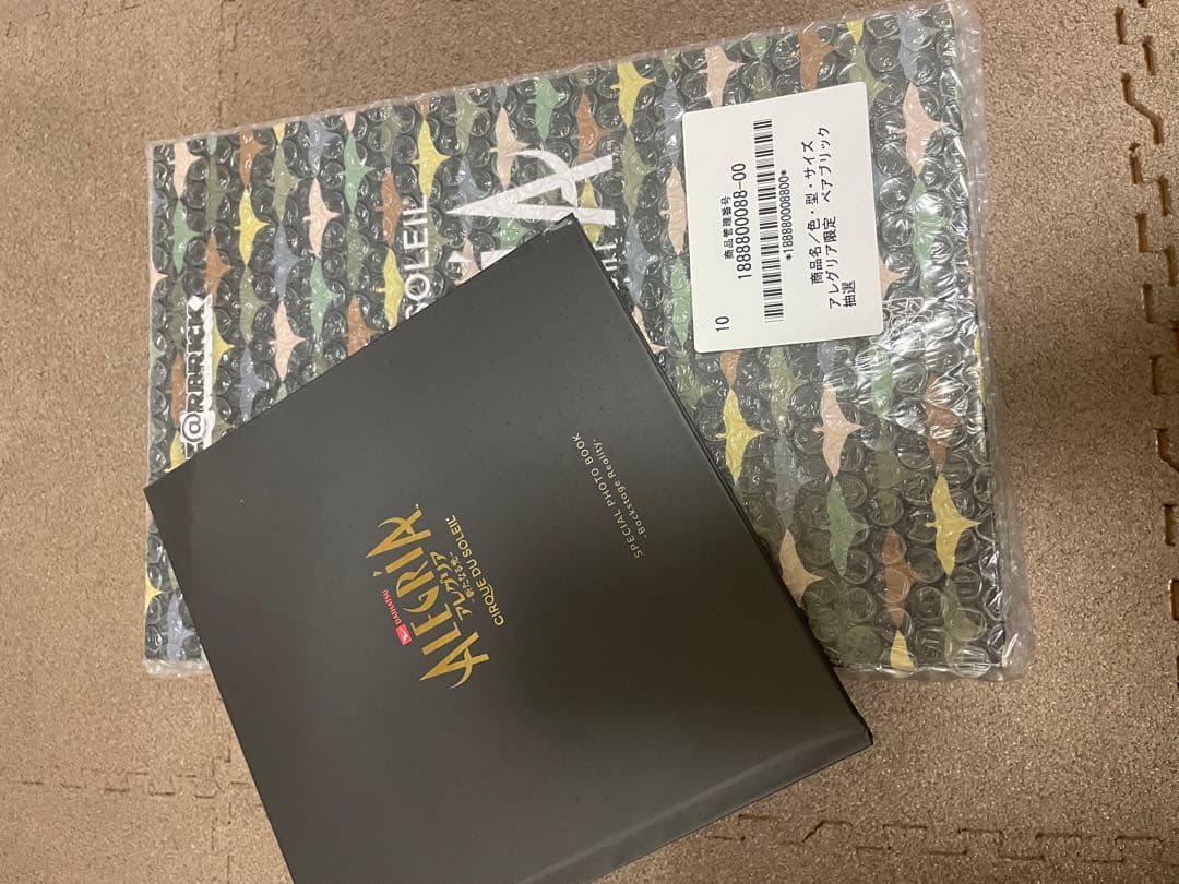 BE@RBRICK ALEGRIAアレグリア　フォトブック付