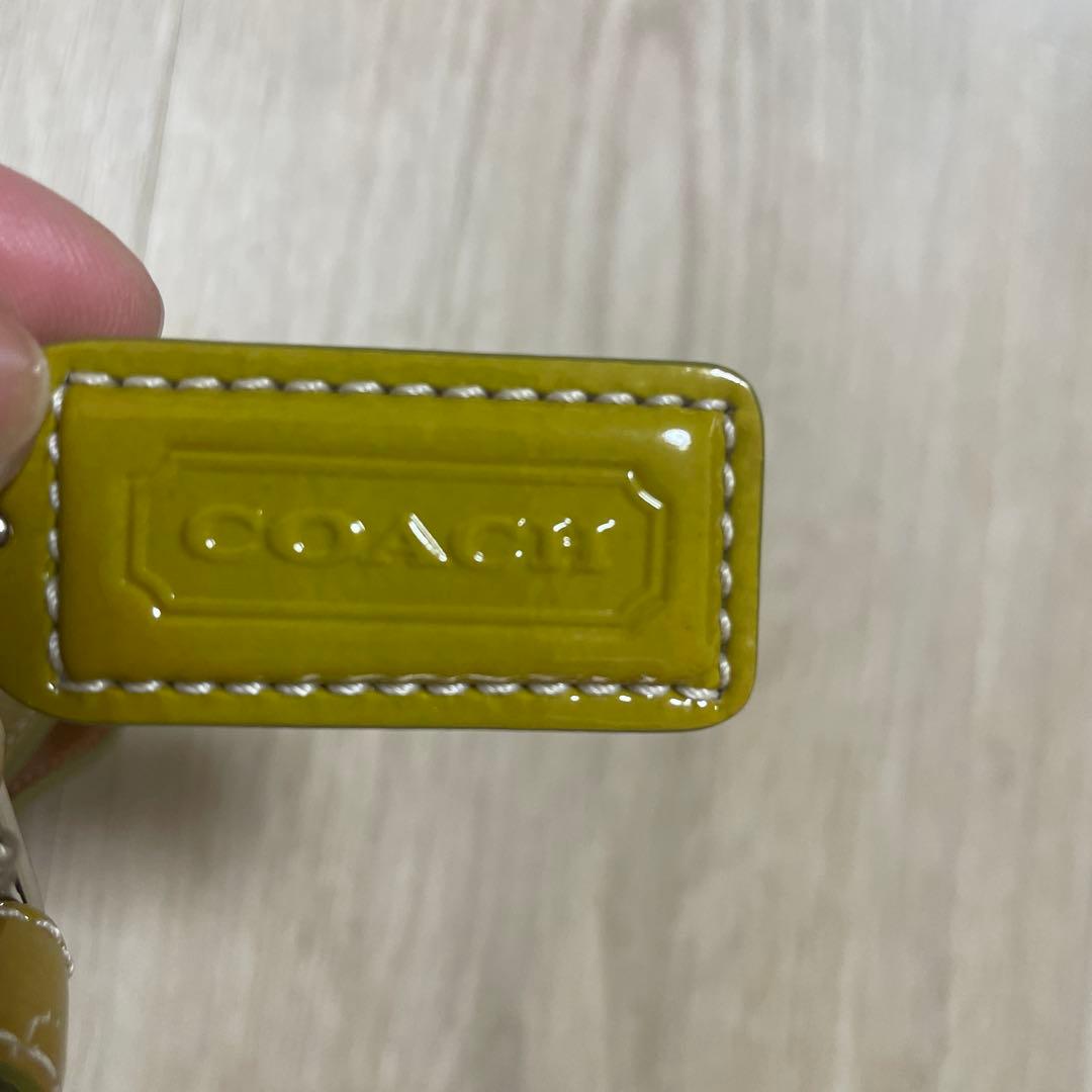 COACH ハラコ　ミニショルダーバッグ