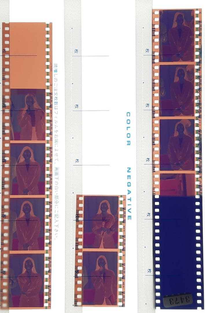 桜井幸子ネガフィルム69コマ