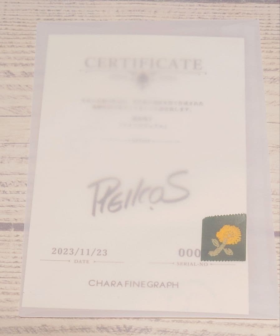 清水玲子　原画展　A5キャラファイングラフ 秘密　複製原画