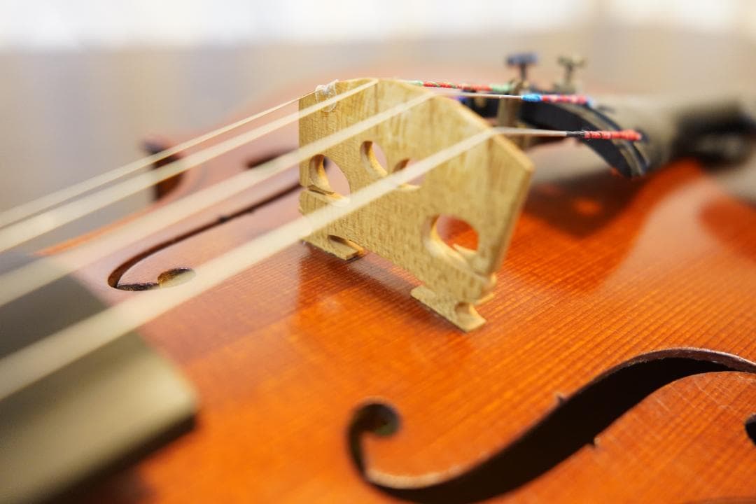 【美・良音】ローデリヒペゾルト　バイオリン Paesold 804 4/4　☆5