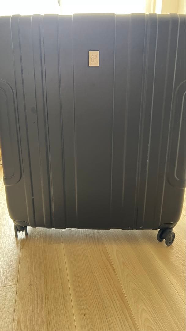 [期間限定off][ブロンプロトン他折り畳み自転車]キャリーケース