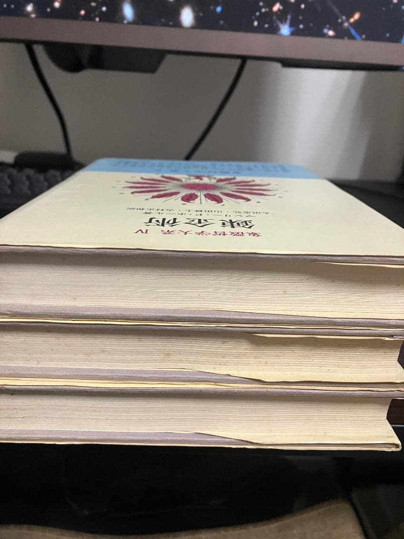 ＊ラビットフットさん専用＊人文書院　象徴哲学体系１・２・４　魔術の歴史