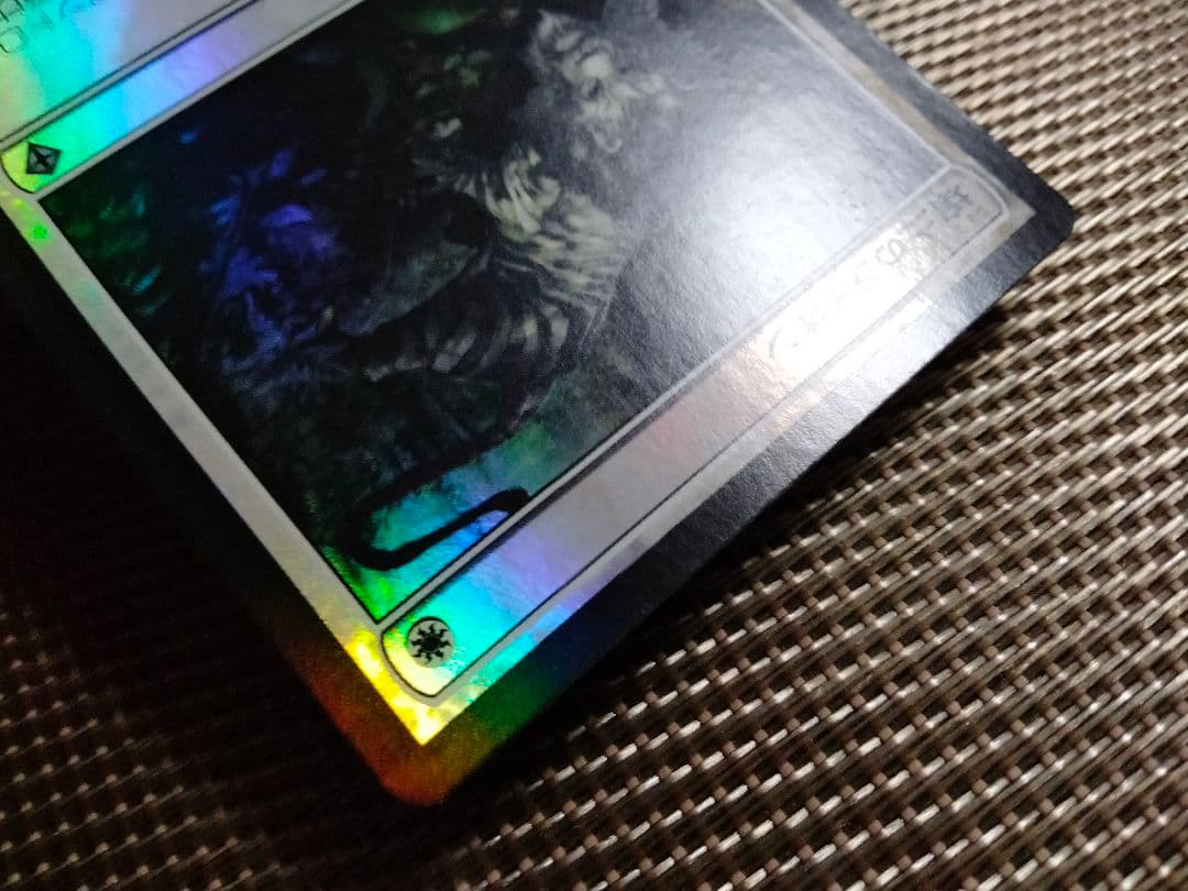 【ご確認用】ワールドウェイク wwk foil 壌土のライオン 日本語 1枚