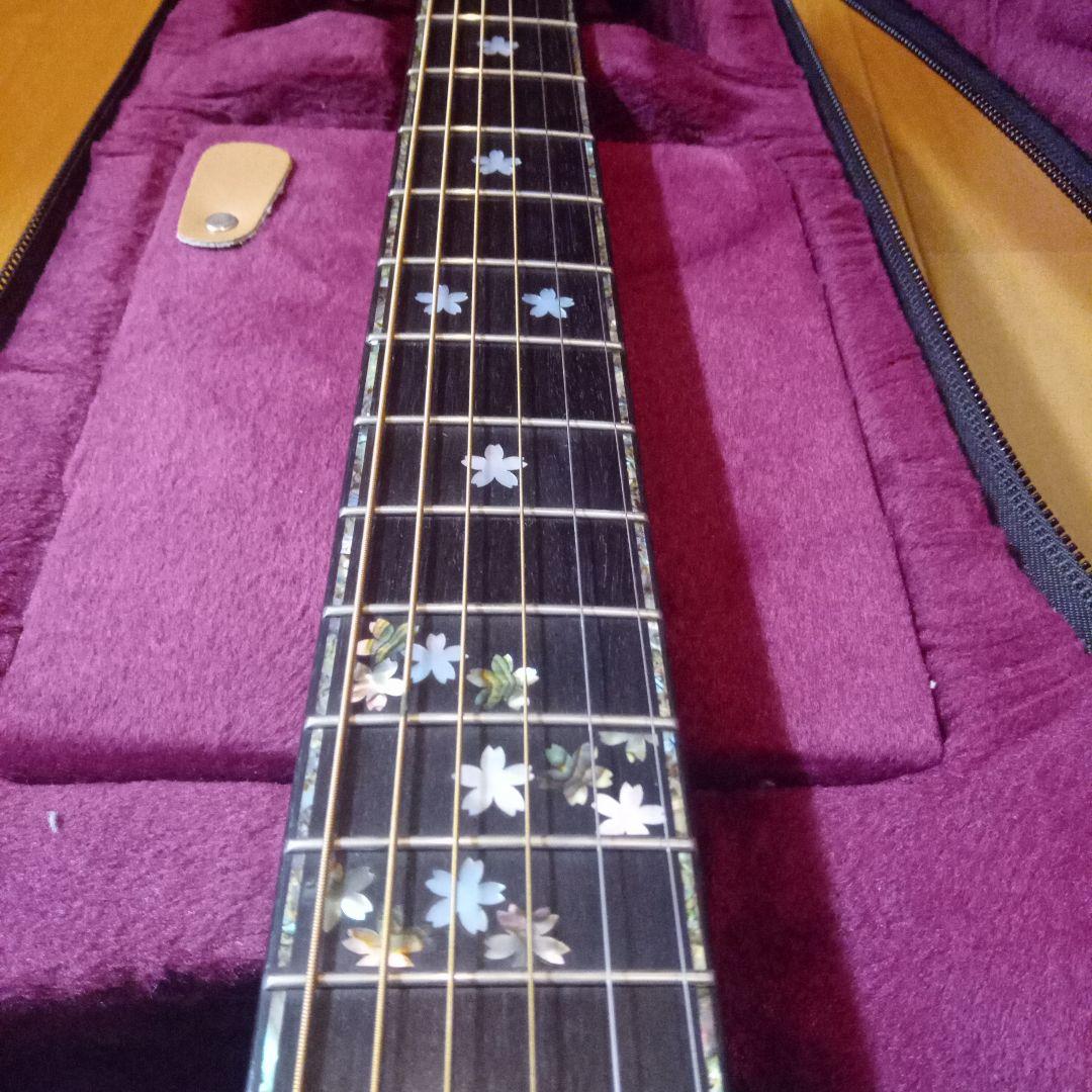 ＶＧ アコースティックギター