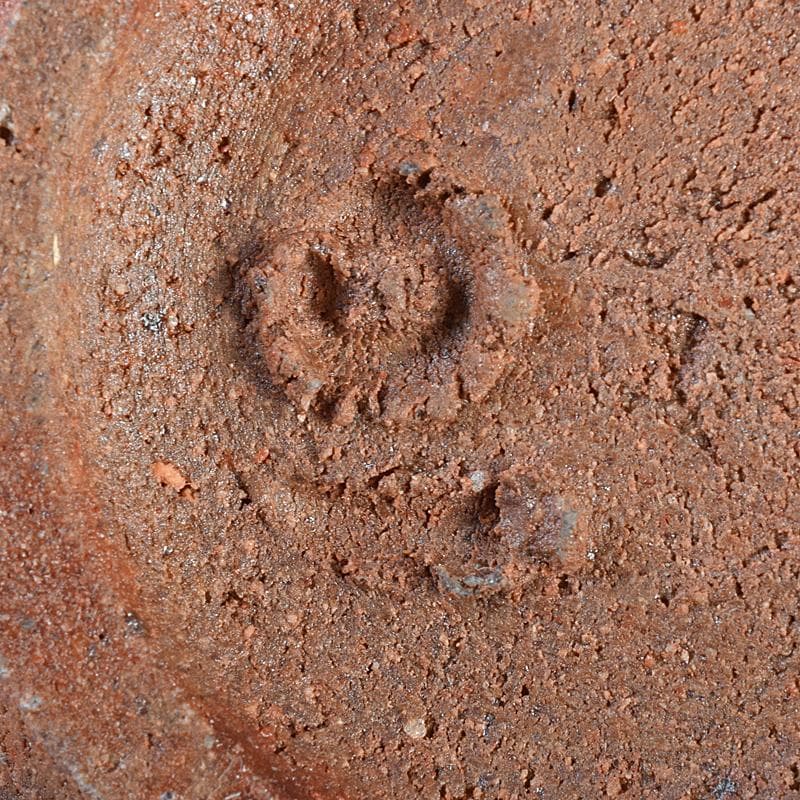 和食器　備前焼　五子窯　前嶋五一郎作　小皿　六客　共布共箱　V　R7665