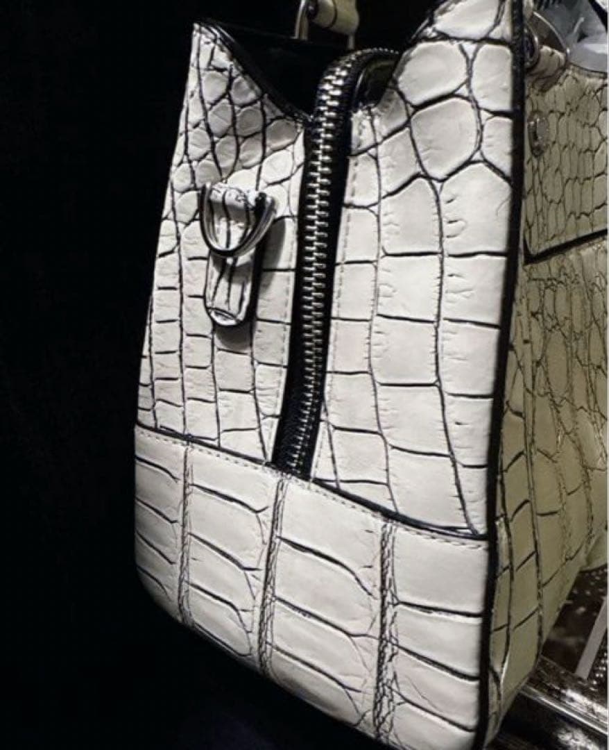 極美品 CROIX  リアルクロコレザー ハンドバッグ ミニトート