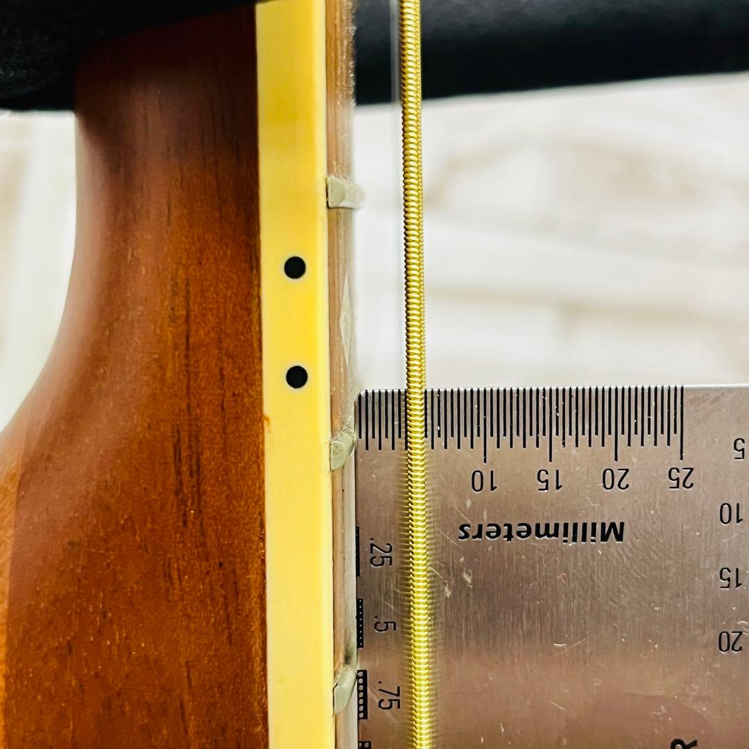 【YB❤︎KYO  】 ProMartin プロマーチン EA350RDS