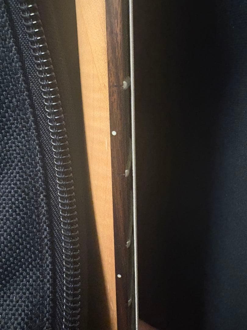 4*4様 Washburn Signature Model N2-NUNO