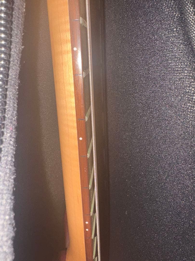 4*4様 Washburn Signature Model N2-NUNO