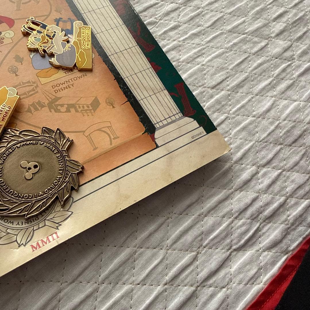 【貴重】ディズニーワールド ピンバッジコレクション