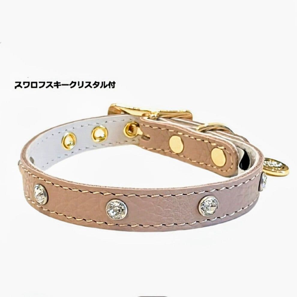 バディーベルト　ハーネス・カラー・リードの3点 バディベルト　BUDDYBELT